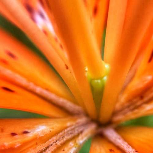 Photo #5843993