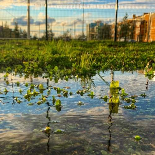 Photo #5844003