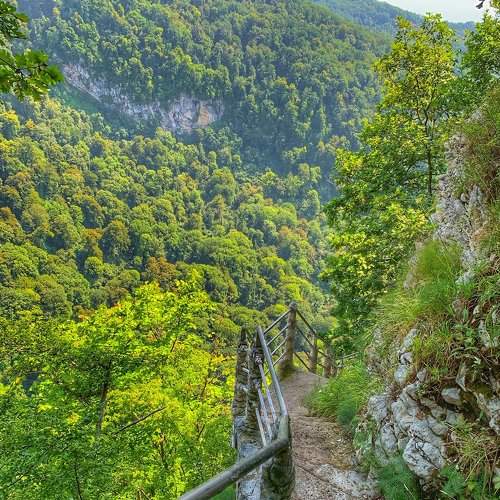 Photo #5844006