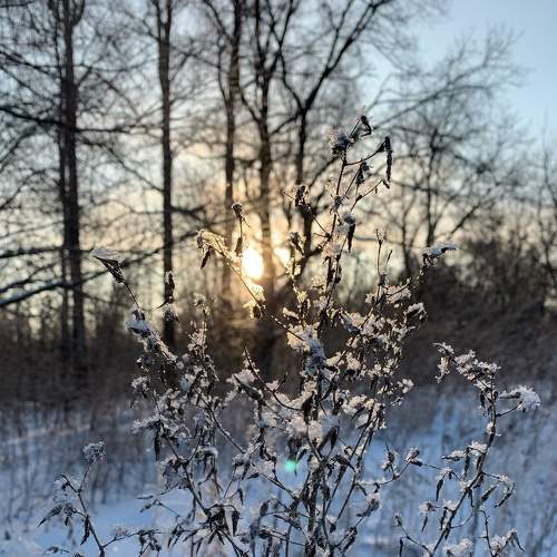 Photo #5844015