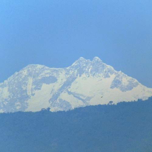 Photo #5844063