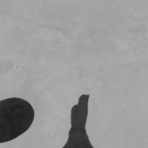 Photo #5844108
