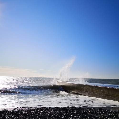 Photo #5844263