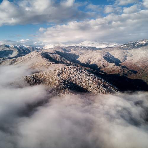 Photo #5844804
