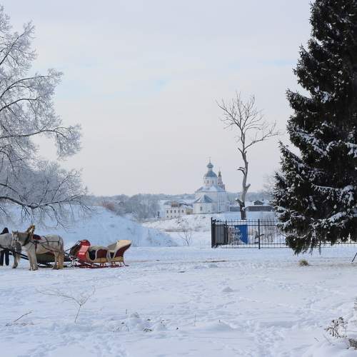 Photo #5844851