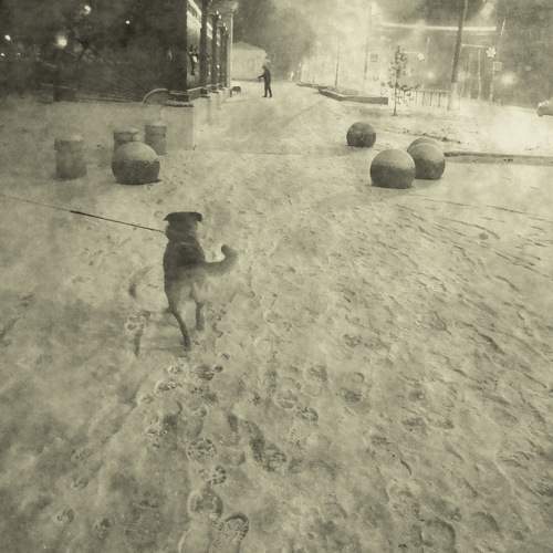 Photo #5844864