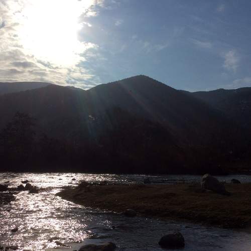 Photo #5844917