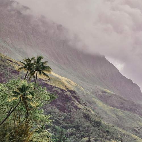 Photo #5845000
