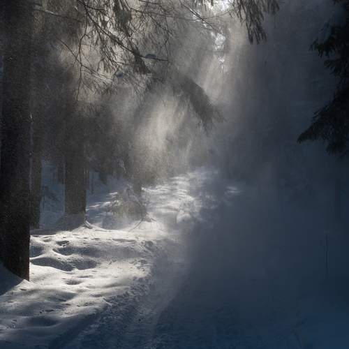 Photo #5845088