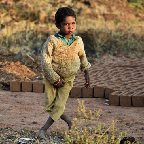 Photo #5845118