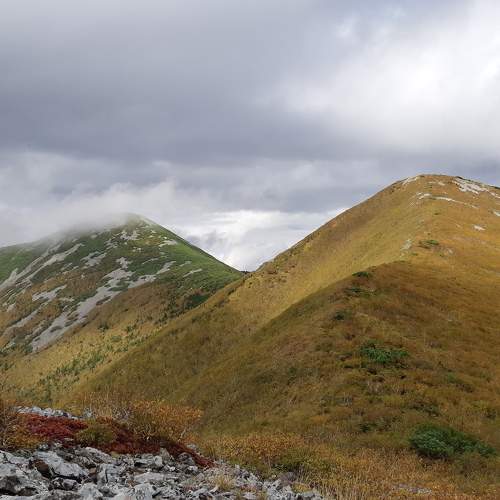 Photo #5845189