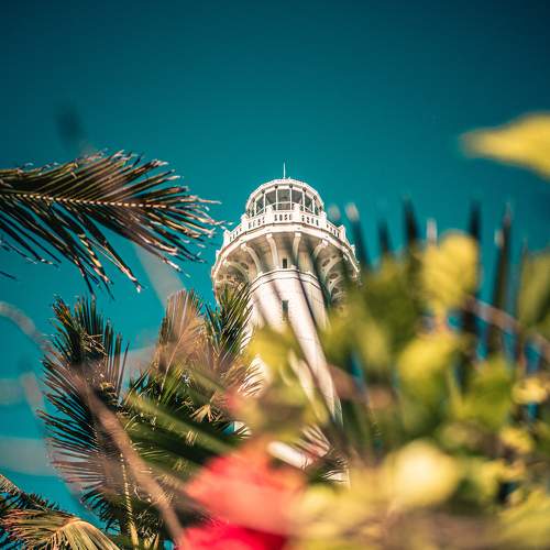 Photo #5845349