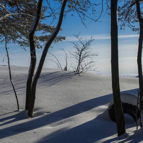 Photo #5845353