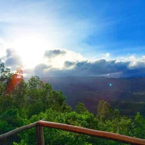 Photo #5845384