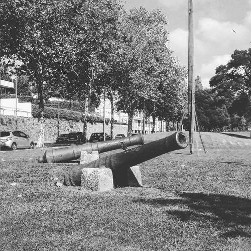 Photo #5845576