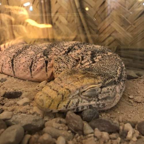 Photo #5845761