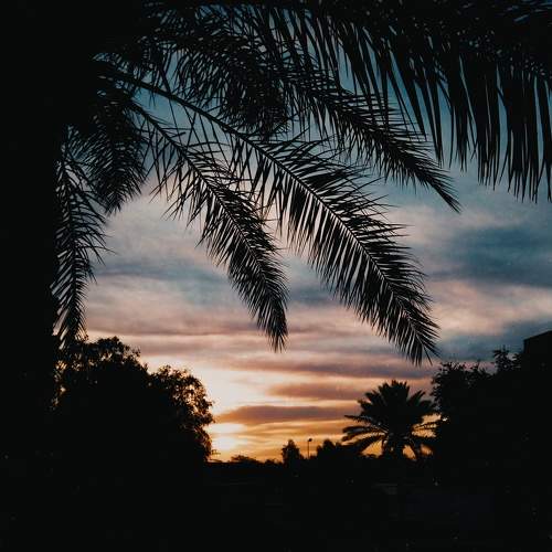 Photo #5845896