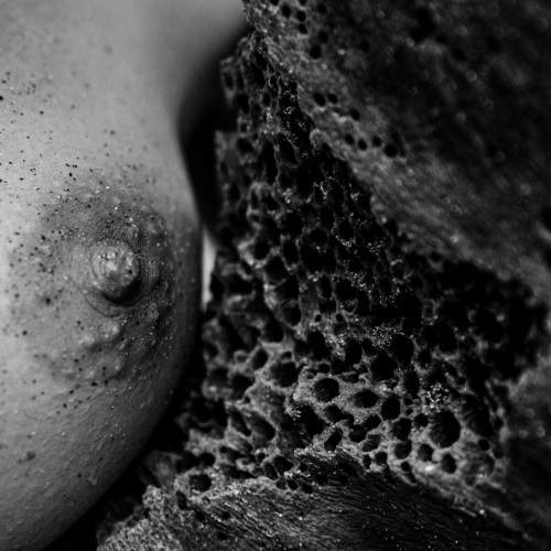 Photo #5845939