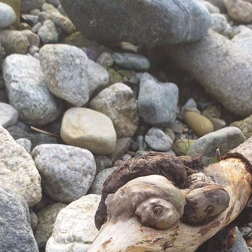 Photo #5846048
