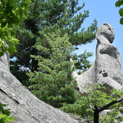 Photo #5846170