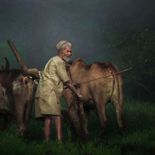 Photo #5846263