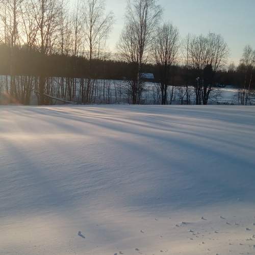 Photo #5846308