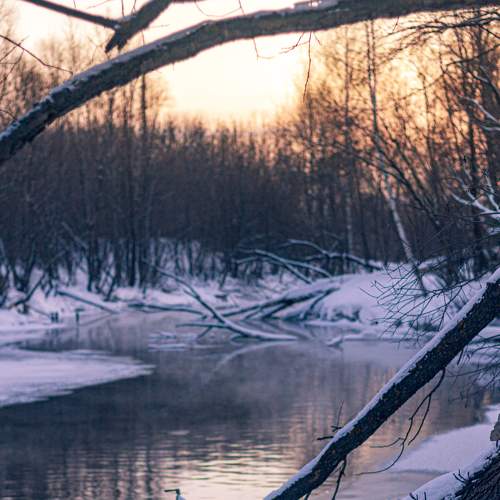 Photo #5846738