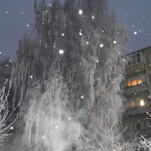 Photo #5846884