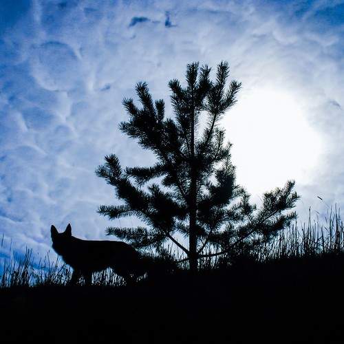 Photo #5847293