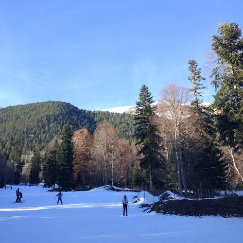 Photo #5847443