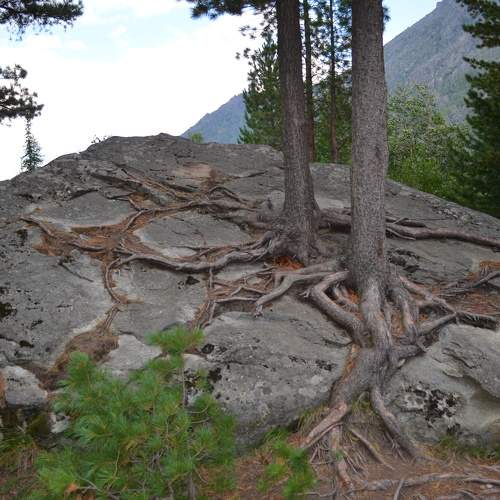 Photo #5847724