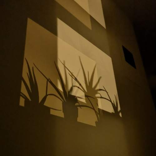Sleepless night