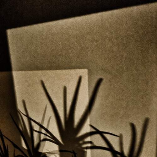 Sleepless night