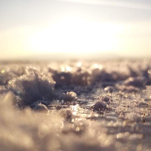 Photo #5848044