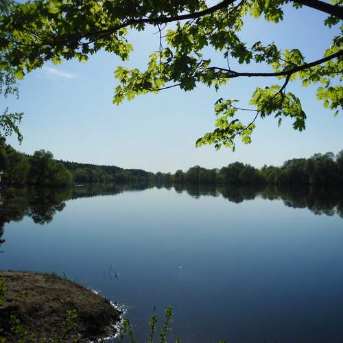 Photo #5848075