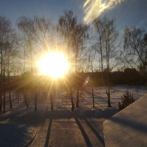 Photo #5848233