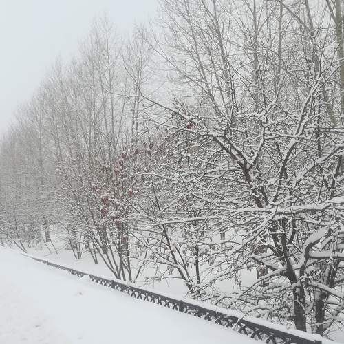 Photo #5848277