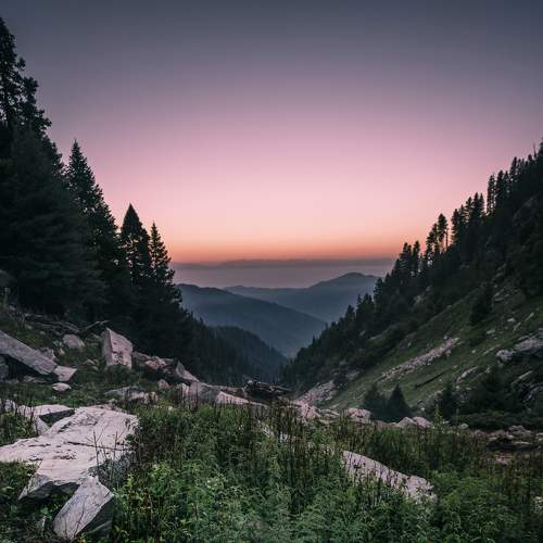 Photo #5848309