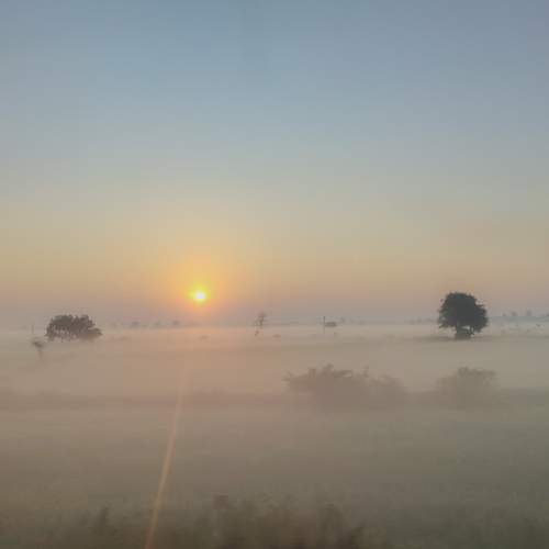 Photo #5848335