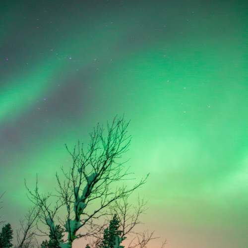 Photo #5848350