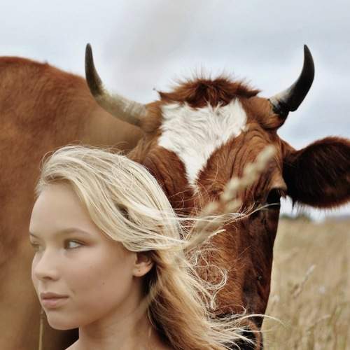 Photo #5848504