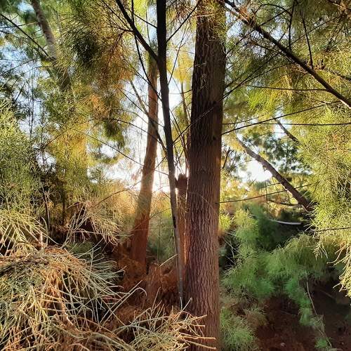 Photo #5848519