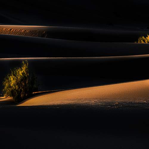 Photo #5848745