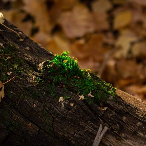 Photo #5848922