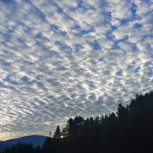 Photo #5849065