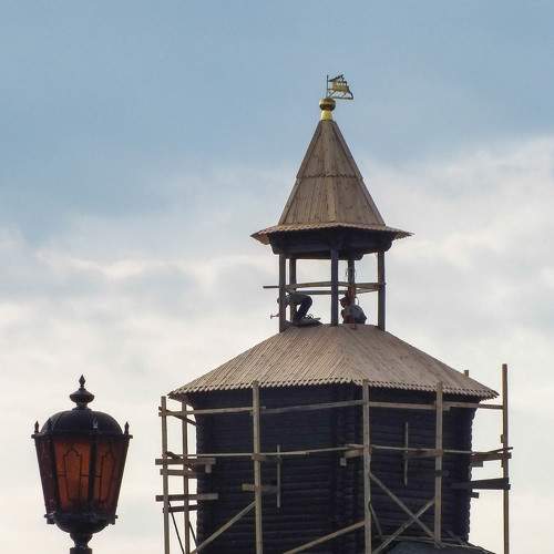 Photo #5849069