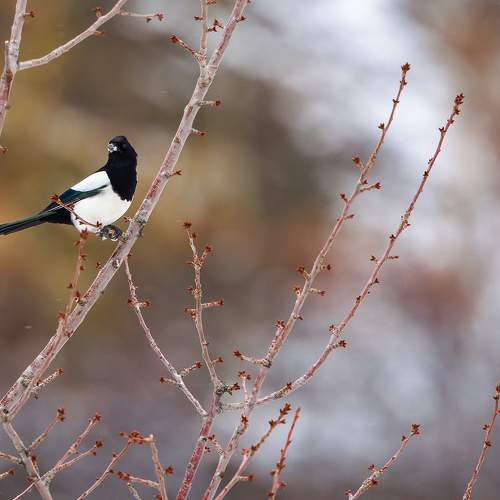 Photo #5849387