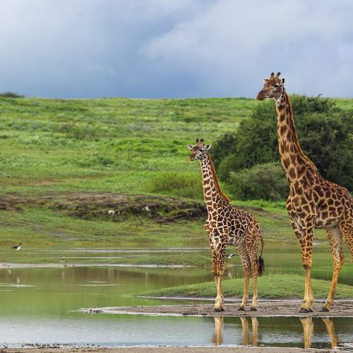 Photo #5849389