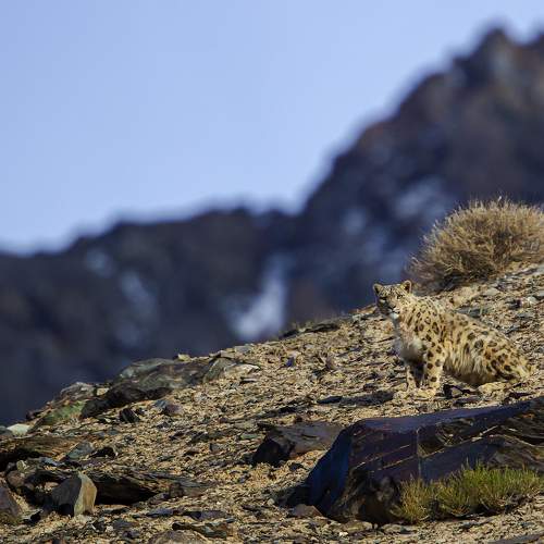 Photo #5849392