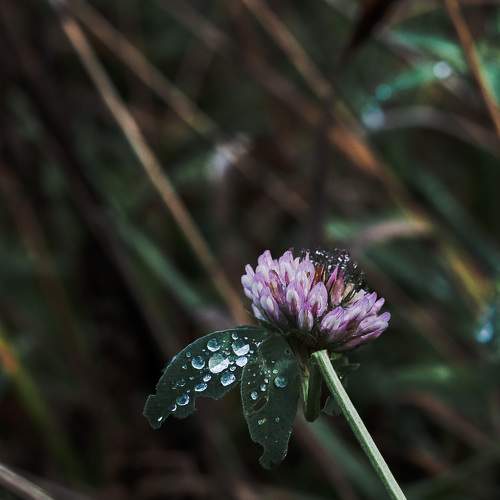 Photo #5849488